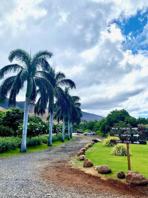 Campervan/Maui Hosted By Go Camp Maui Kihei Esterno foto